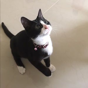 Meet your Posher, Karesha